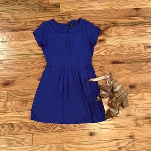 JCREW Peter Pan Collar Dress